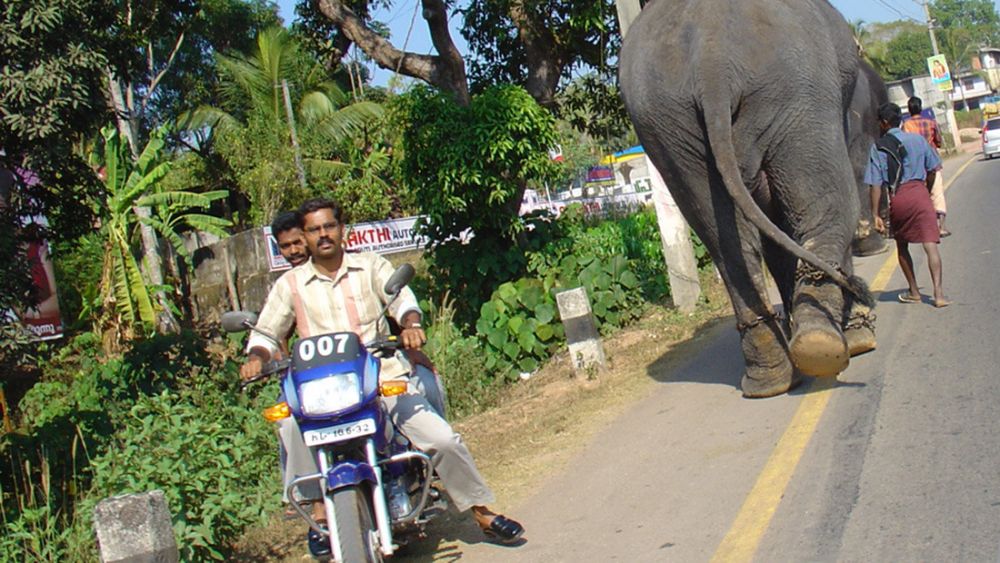 GASΟΛΟΓΙΕΣ #203 | ΤΟ ΚΑΛΟ ΤΟ ΠΑΛΙΚΑΡΙ…