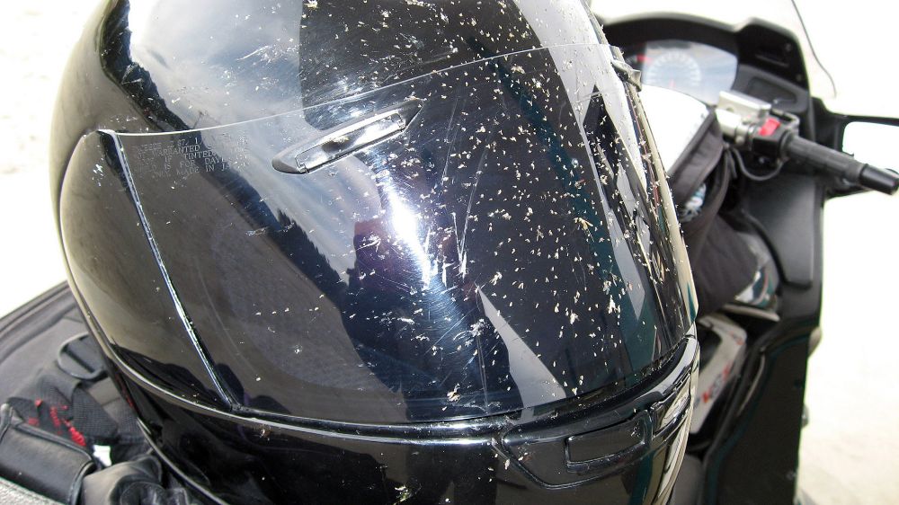 GASΟΛΟΓΙΕΣ #248 | ΜΑΜΟΥΝΙΑ ΤΙΜΕ!