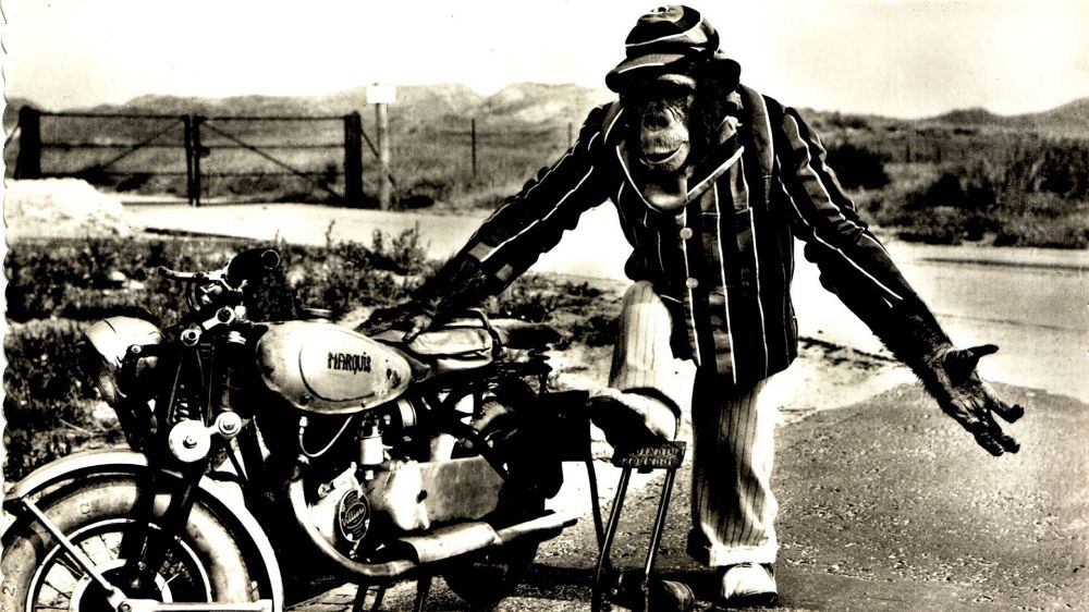 GASΟΛΟΓΙΕΣ #385 | Ο ΑΙΩΝΙΟΣ ΦΟΒΟΣ