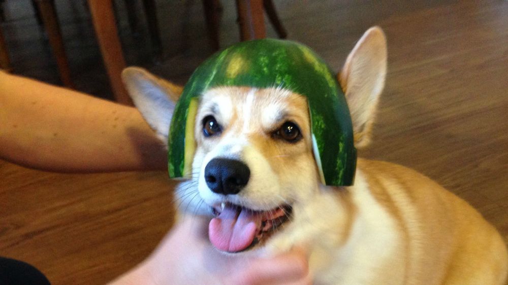 GASΟΛΟΓΙΕΣ #431 | ΚΑΛΥΤΕΡΑ ΚΑΙΝΟΥΡΓΙΟ