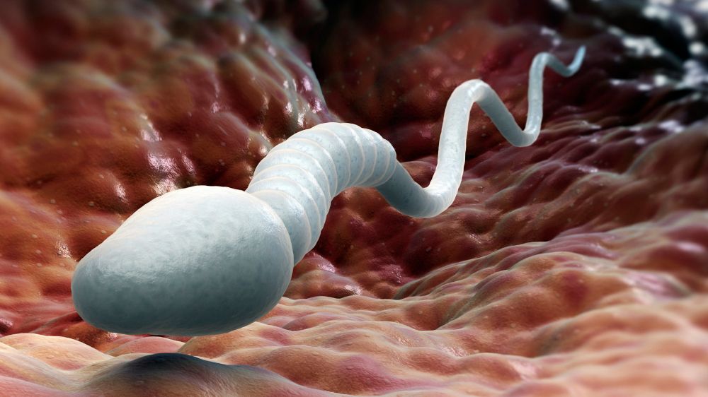 GASΟΛΟΓΙΕΣ #503 | ΠΡΟΣΤΑΣΙΑ ΠΡΟΣΤΑΤΗ