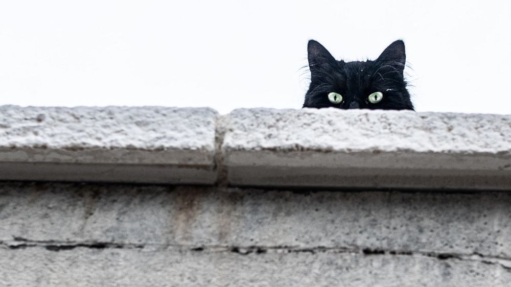 GASΟΛΟΓΙΕΣ #584 | Ο ΝΟΜΟΣ ΤΟΥ ΜΕΡΦΙ