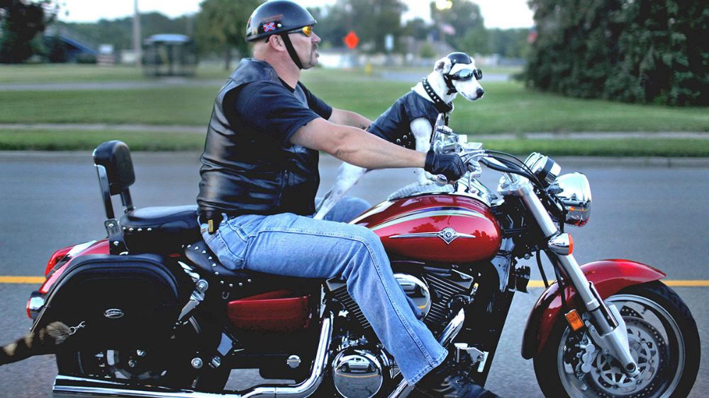 GASΟΛΟΓΙΕΣ #596 | ΑΠΟ ΤΗΝ ΠΟΛΗ ΕΡΧΟΜΑΙ