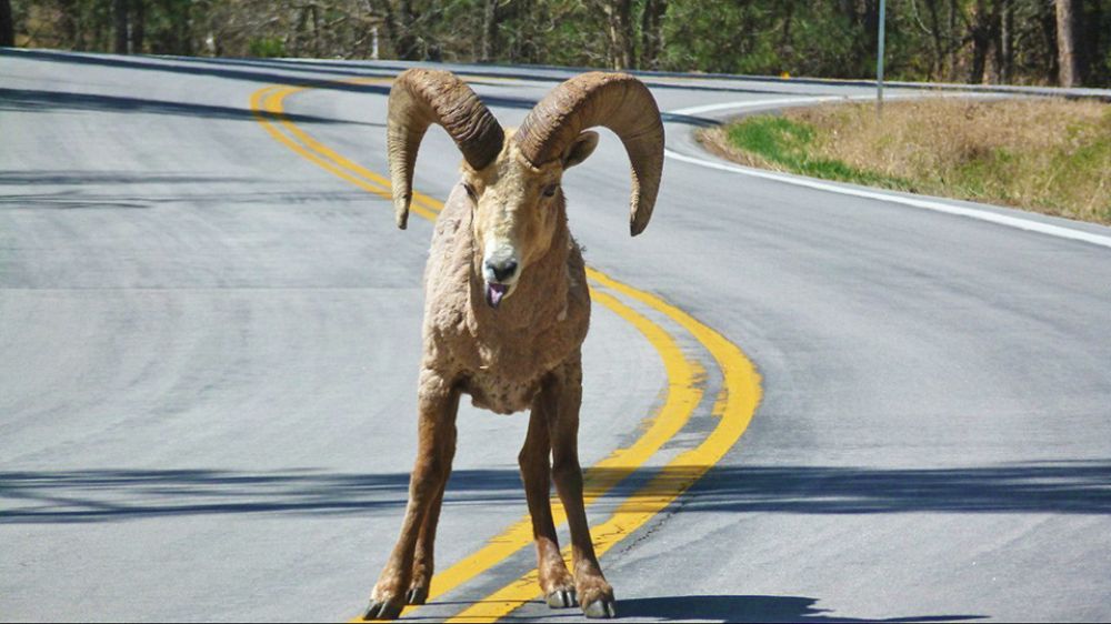 GASΟΛΟΓΙΕΣ #689 | ΣΥΝΑΝΤΗΣΕΙΣ-ΕΚΠΛΗΞΗ