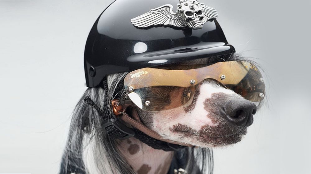 GASΟΛΟΓΙΕΣ #693 | ΤΖΑΜΑΡΙΑ