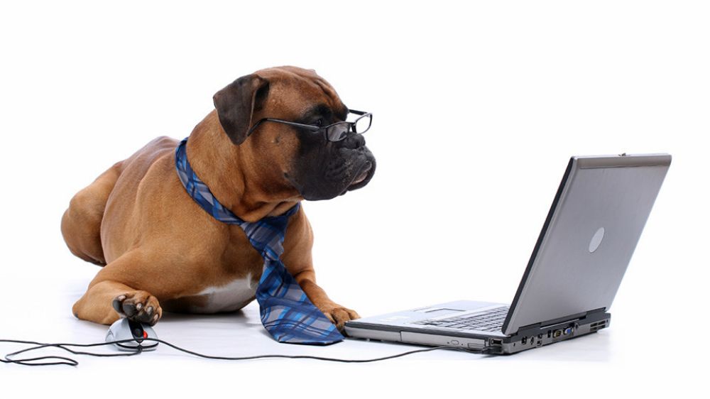 GASΟΛΟΓΙΕΣ #703 | ΤΟΥ ΦΟΡΟΥΜ ΤΟ ΚΑΓΚΕΛΟ