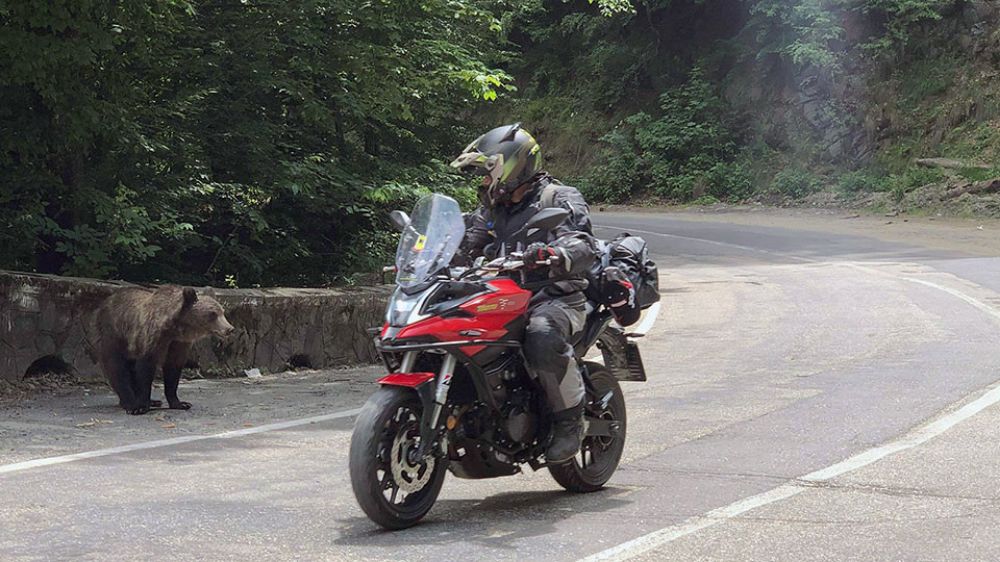 GASΟΛΟΓΙΕΣ #751 | ΕΞΩ ΑΠΟ ΤΟ ΧΟΡΟ