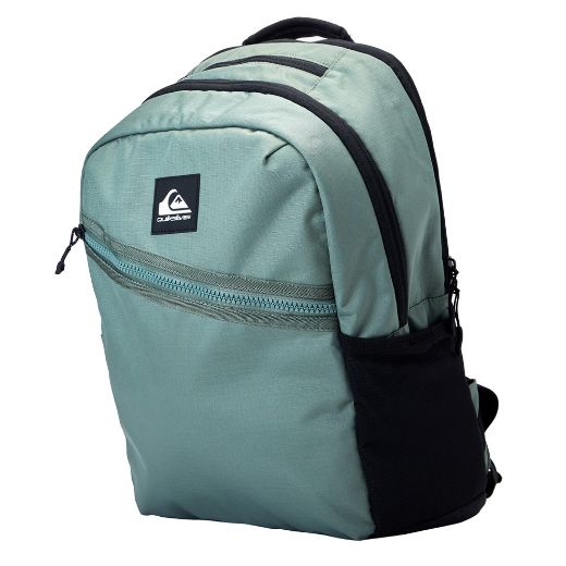 Σακίδια Πλάτης QUIKSILVER FREEDAY 20L Τσάντες γαλάζιο