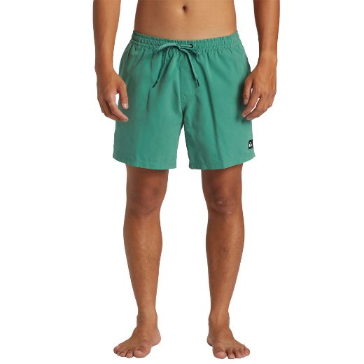Quiksilver Everyday Volley 15in boardshort Frosty Spruce