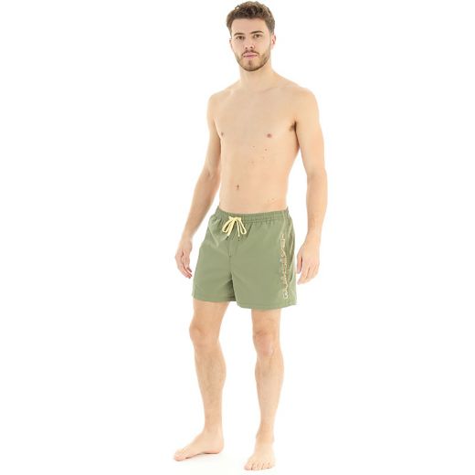 Quiksilver Everyday Volley 15in boardshort Four Leaf Clover
