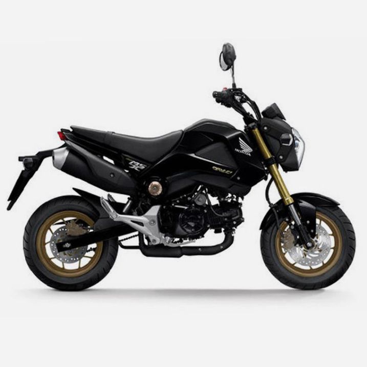 Picture for category Honda MSX125 (2014 - )