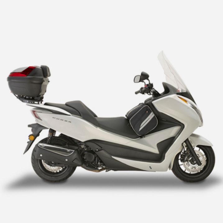 Εικόνα για την κατηγορία Honda Forza 300 (2013 - 2020)